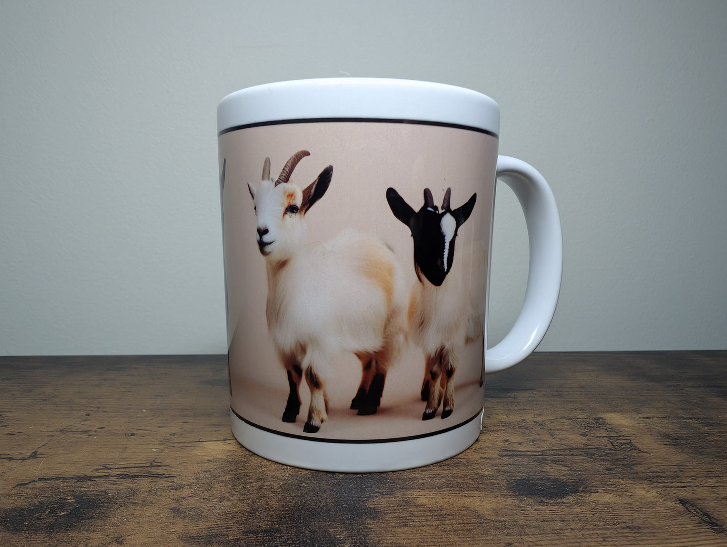 Kids on a Cup - 11oz Goat Mug